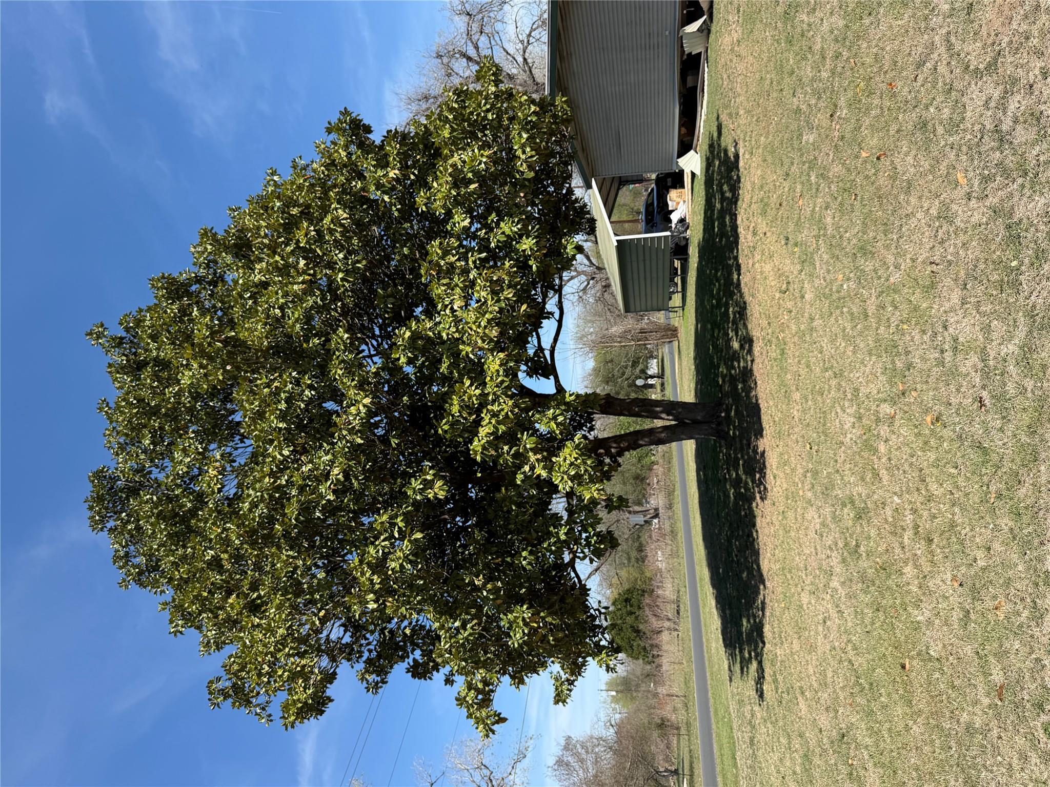 1603 Man O War DR