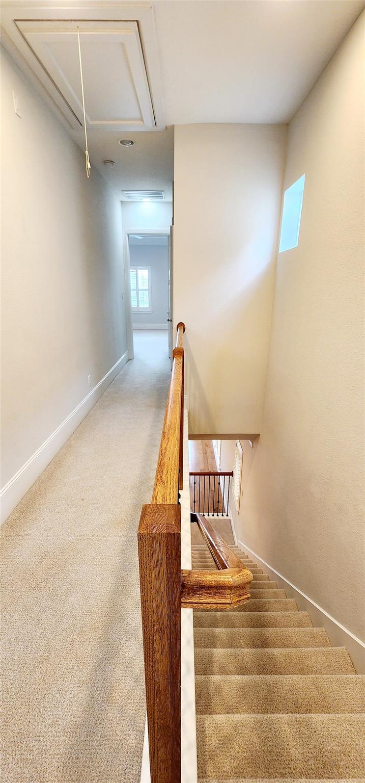 11 Rafters Row