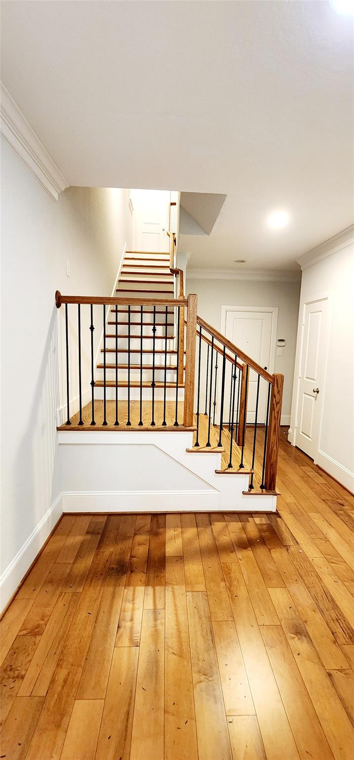11 Rafters Row