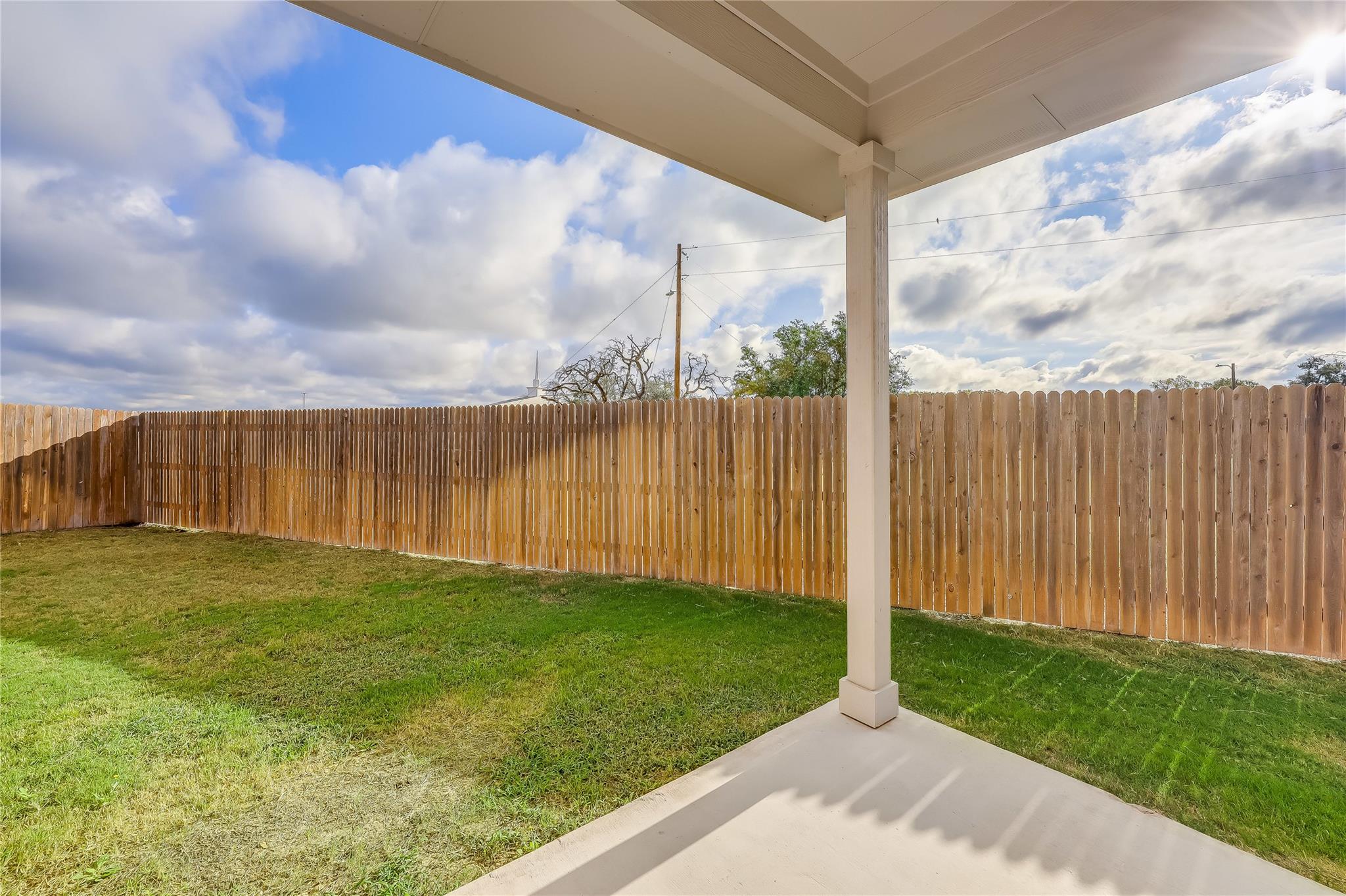 153 Filifera CT