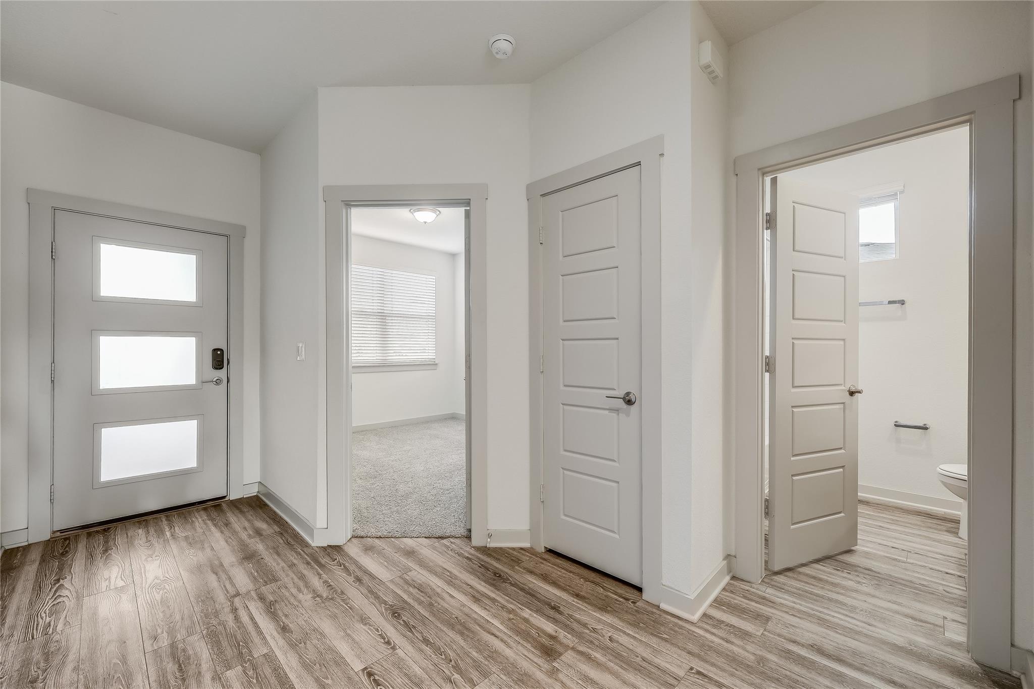 153 Filifera CT