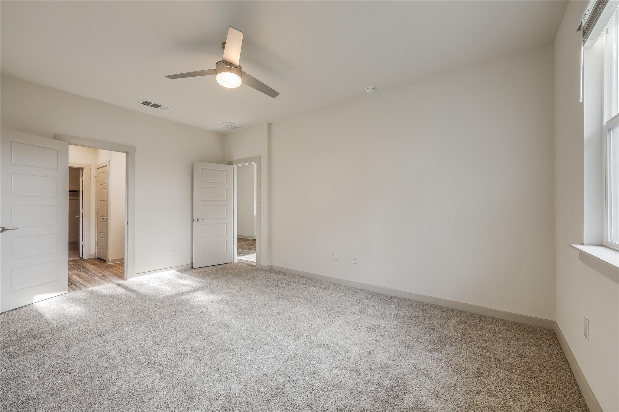 153 Filifera CT