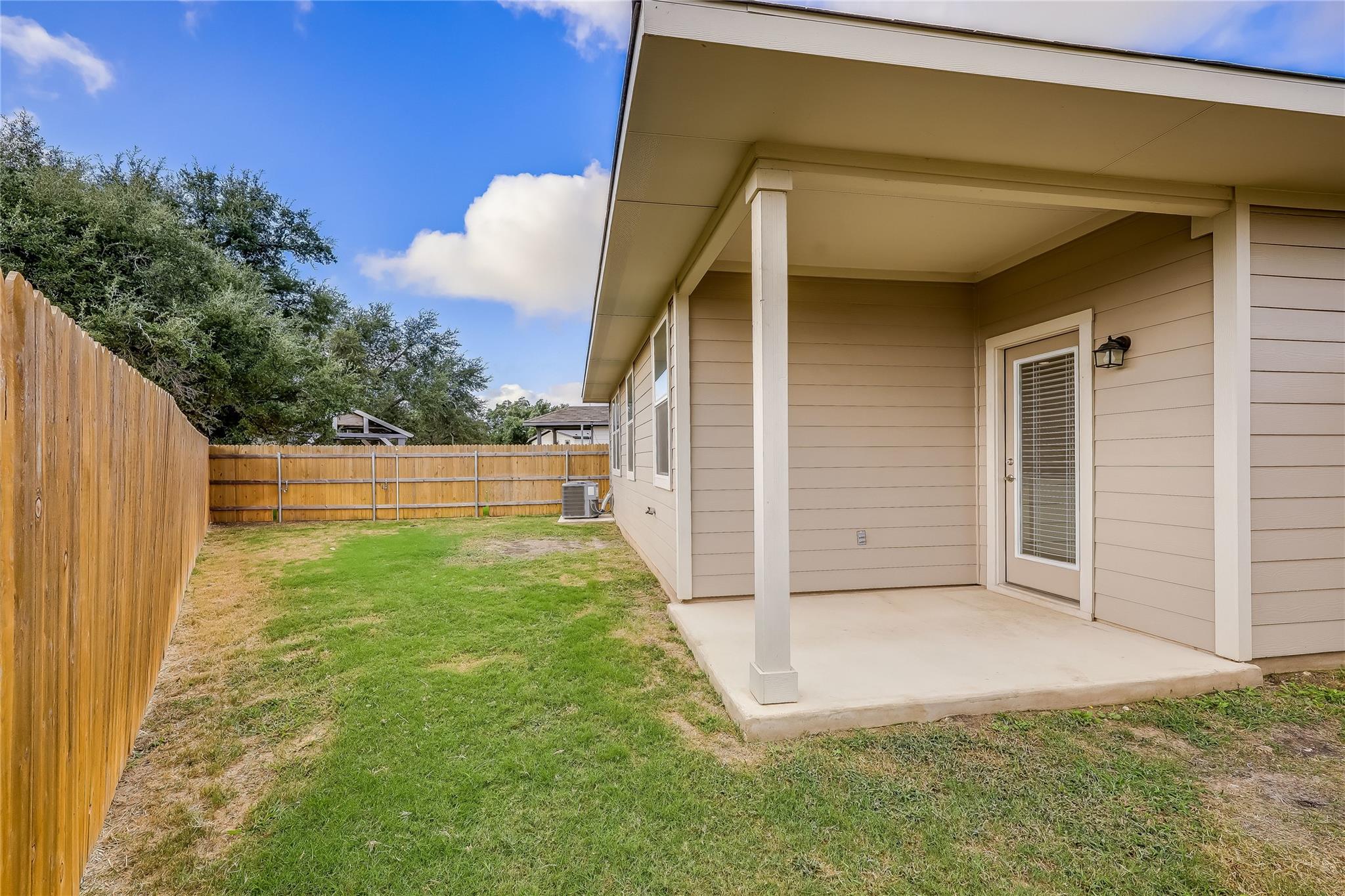 153 Filifera CT