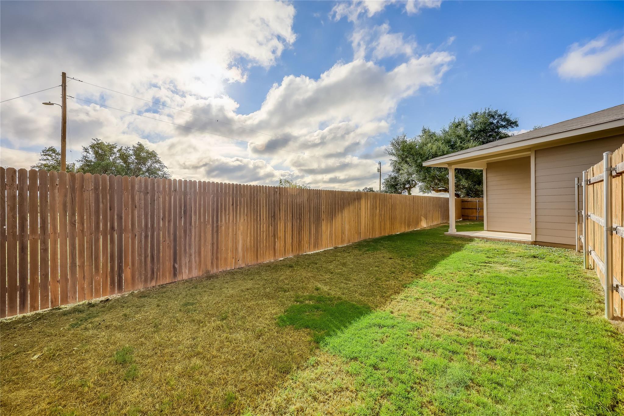 153 Filifera CT