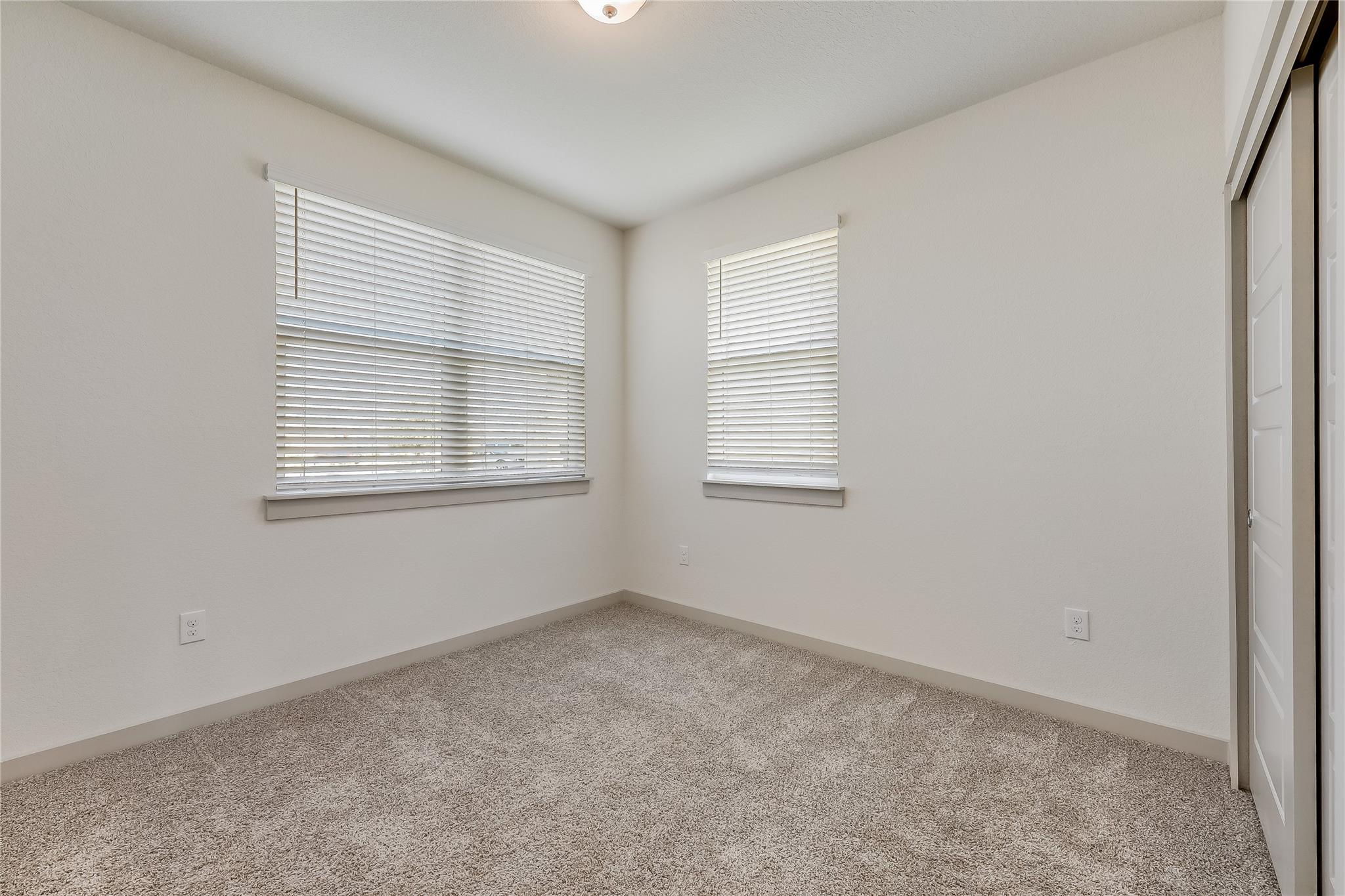 153 Filifera CT