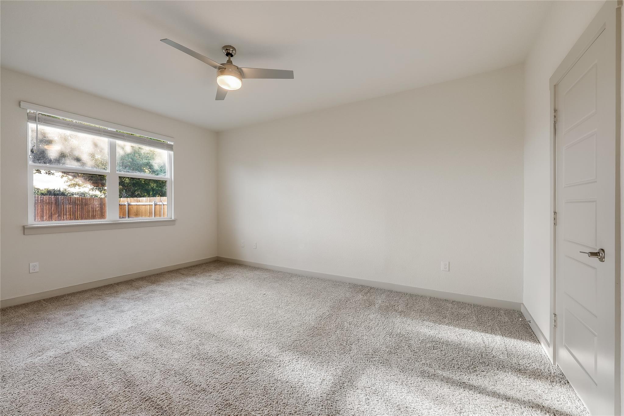 153 Filifera CT