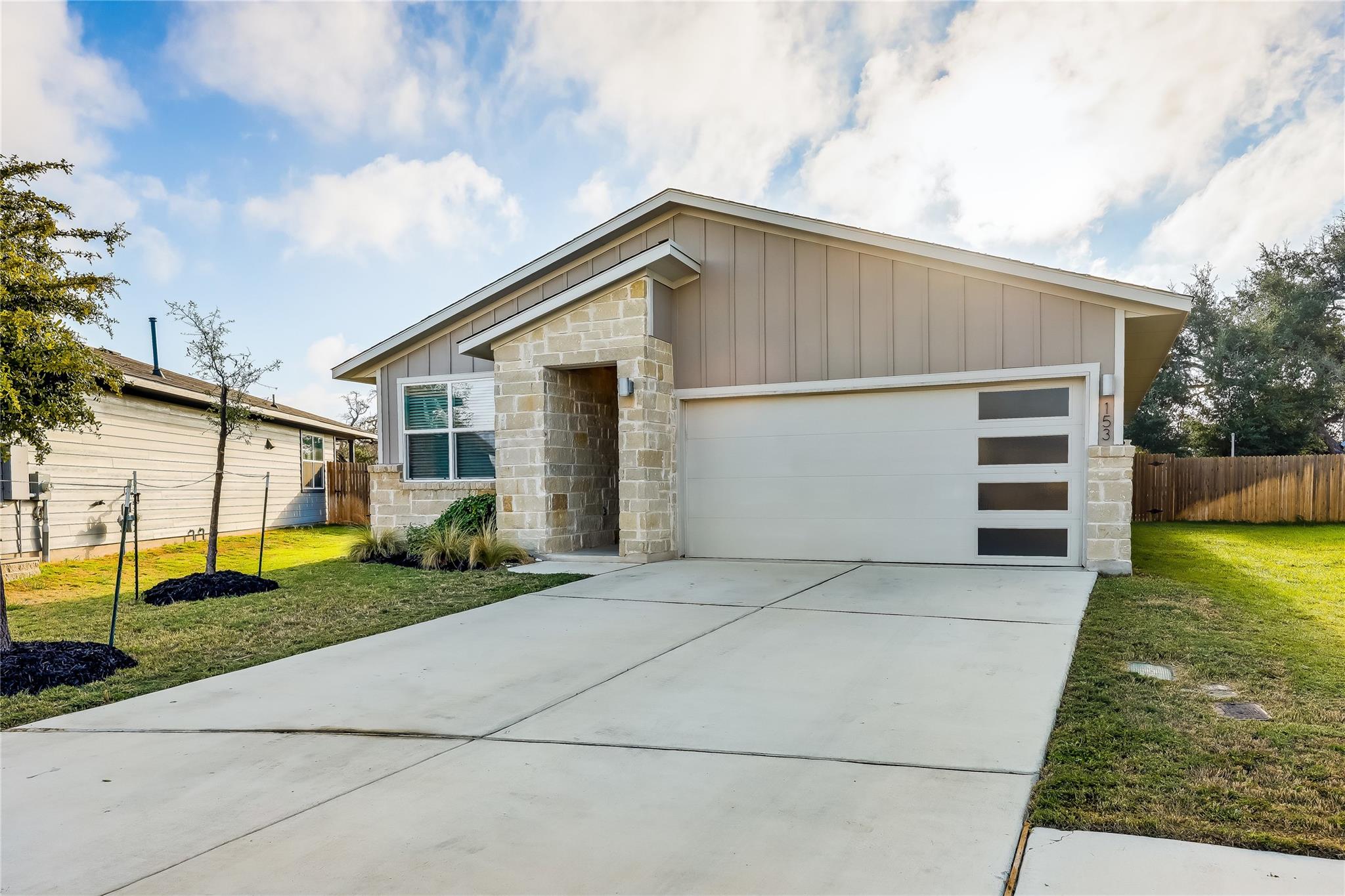 153 Filifera CT