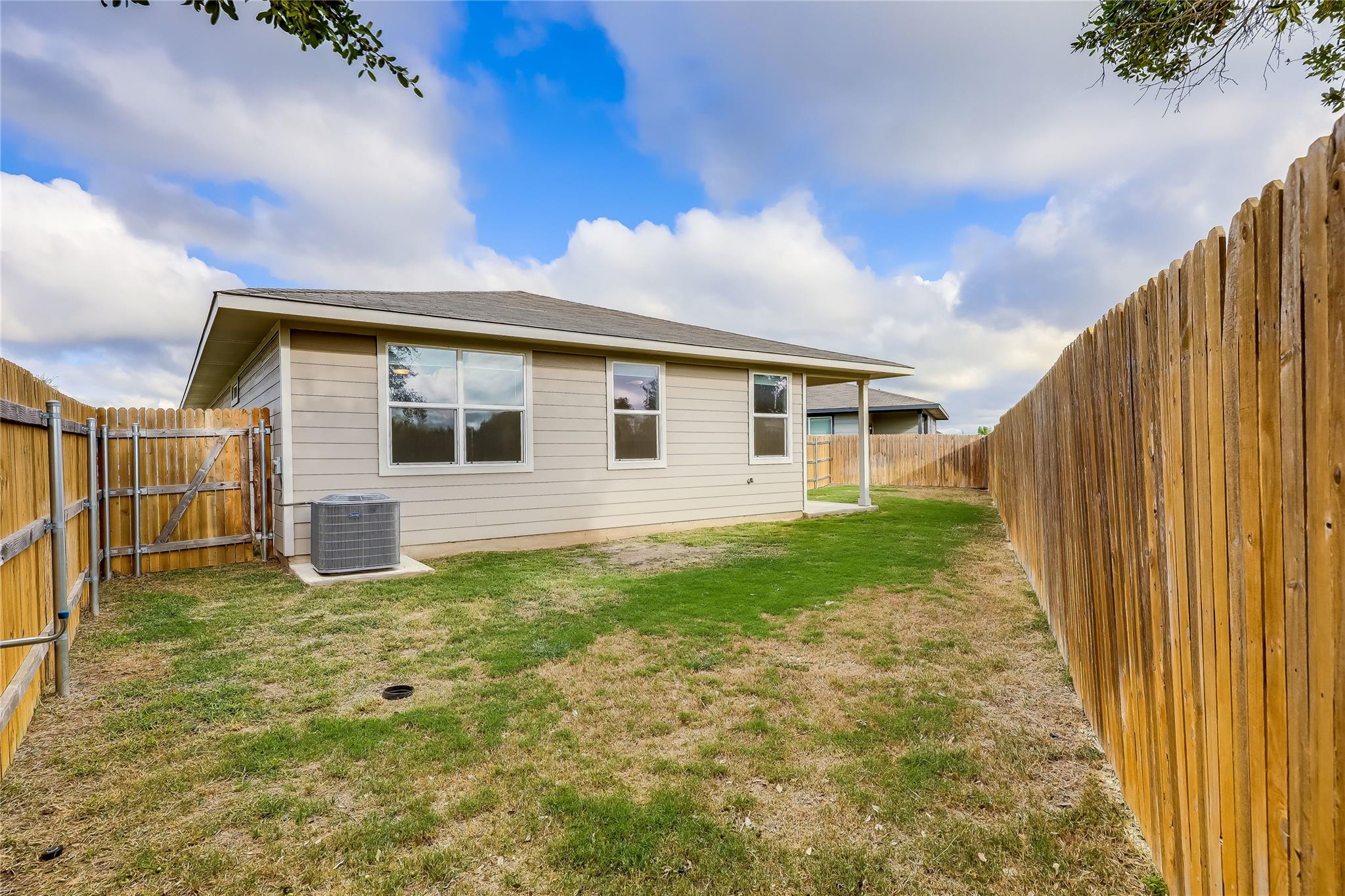 153 Filifera CT