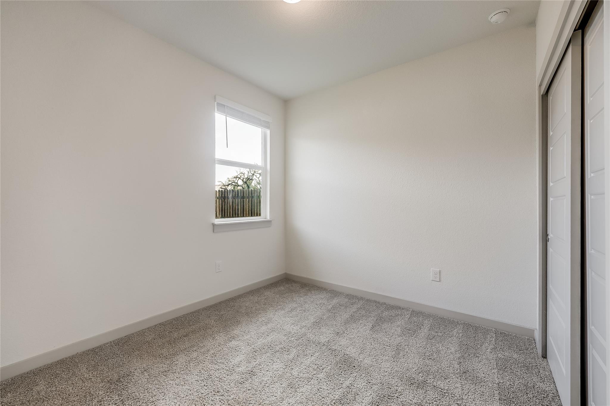 153 Filifera CT