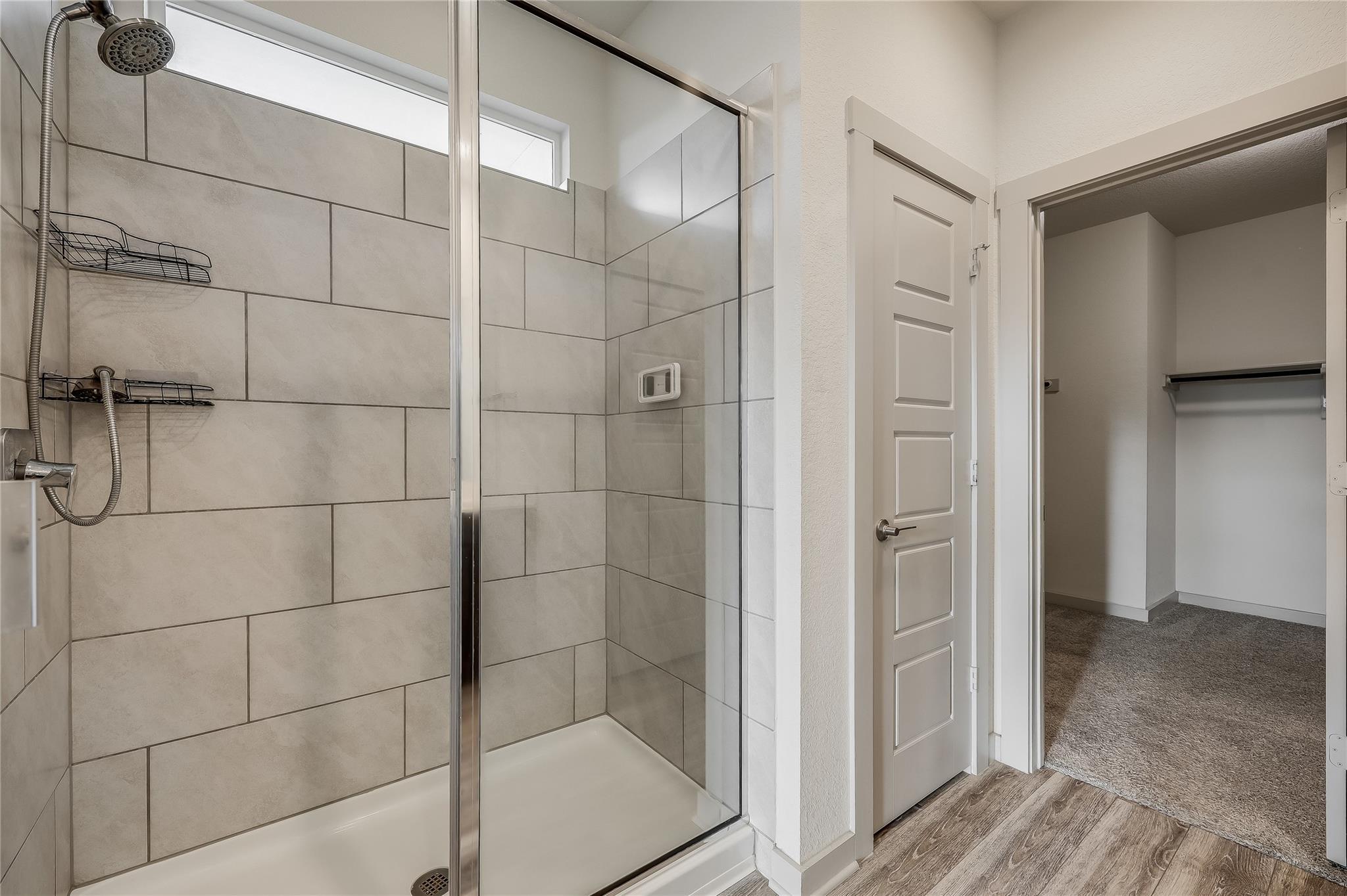 153 Filifera CT