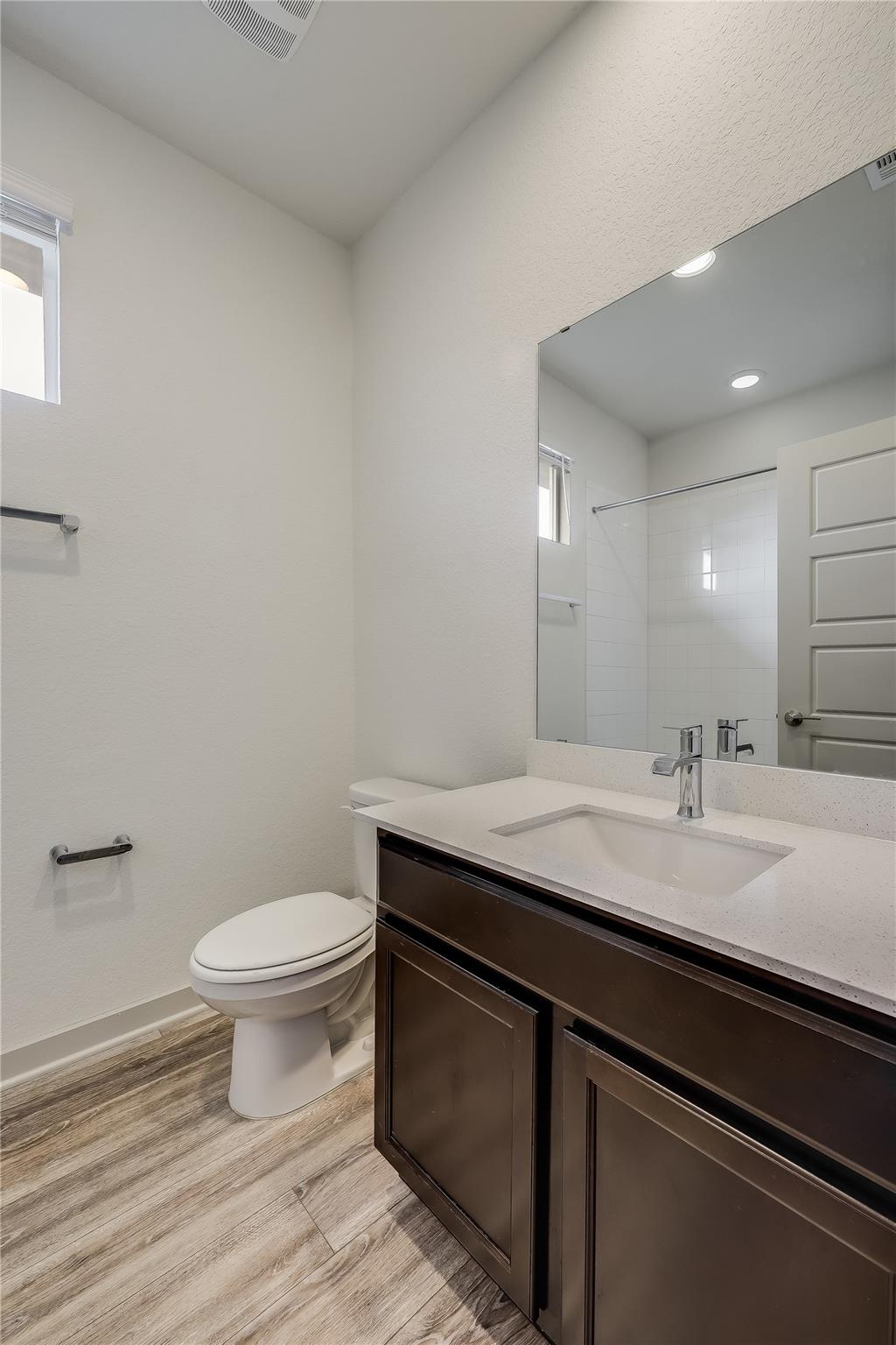 153 Filifera CT