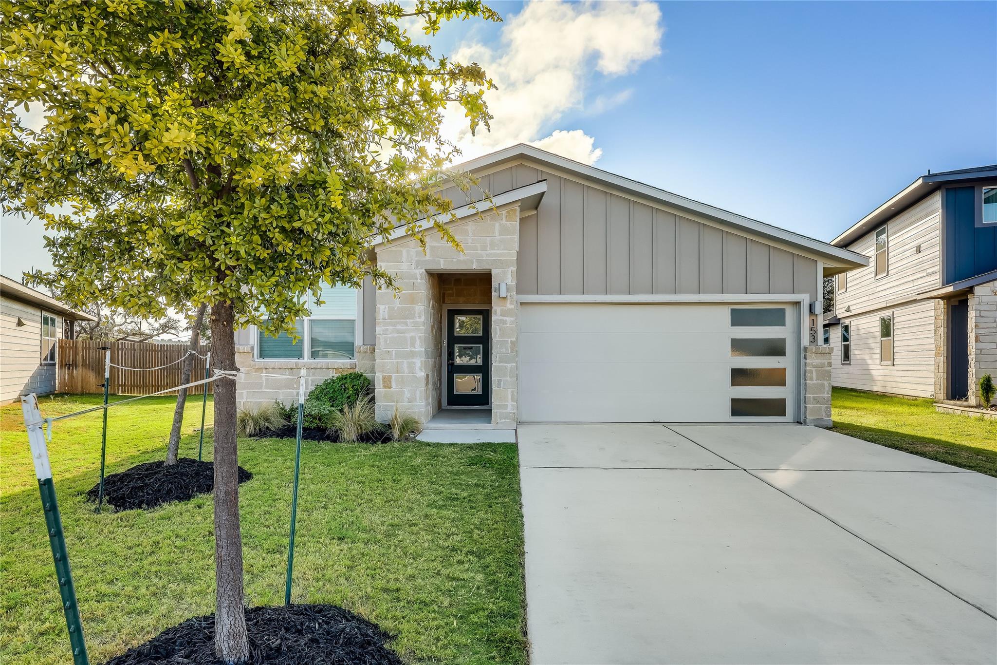 153 Filifera CT