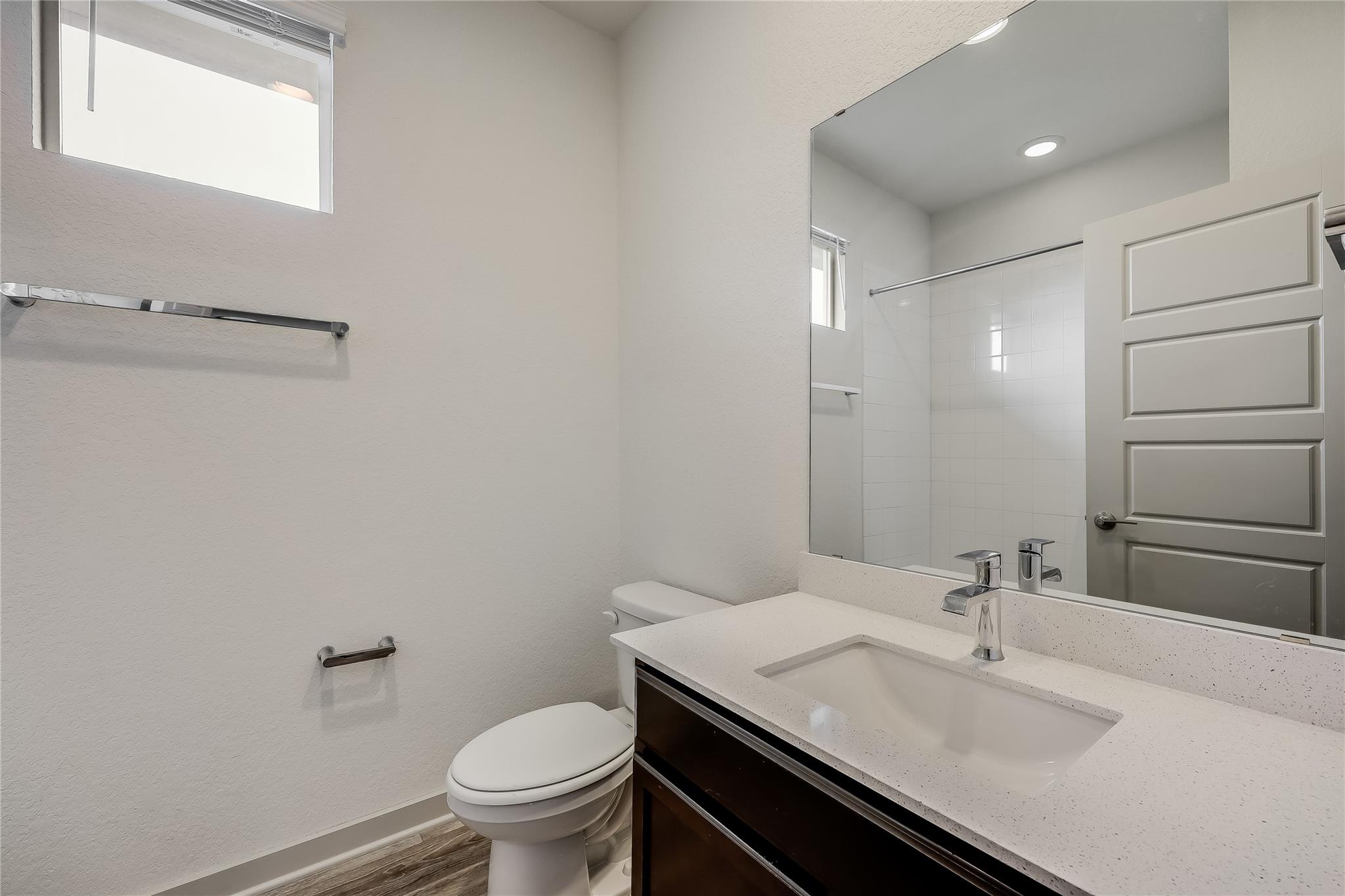 153 Filifera CT