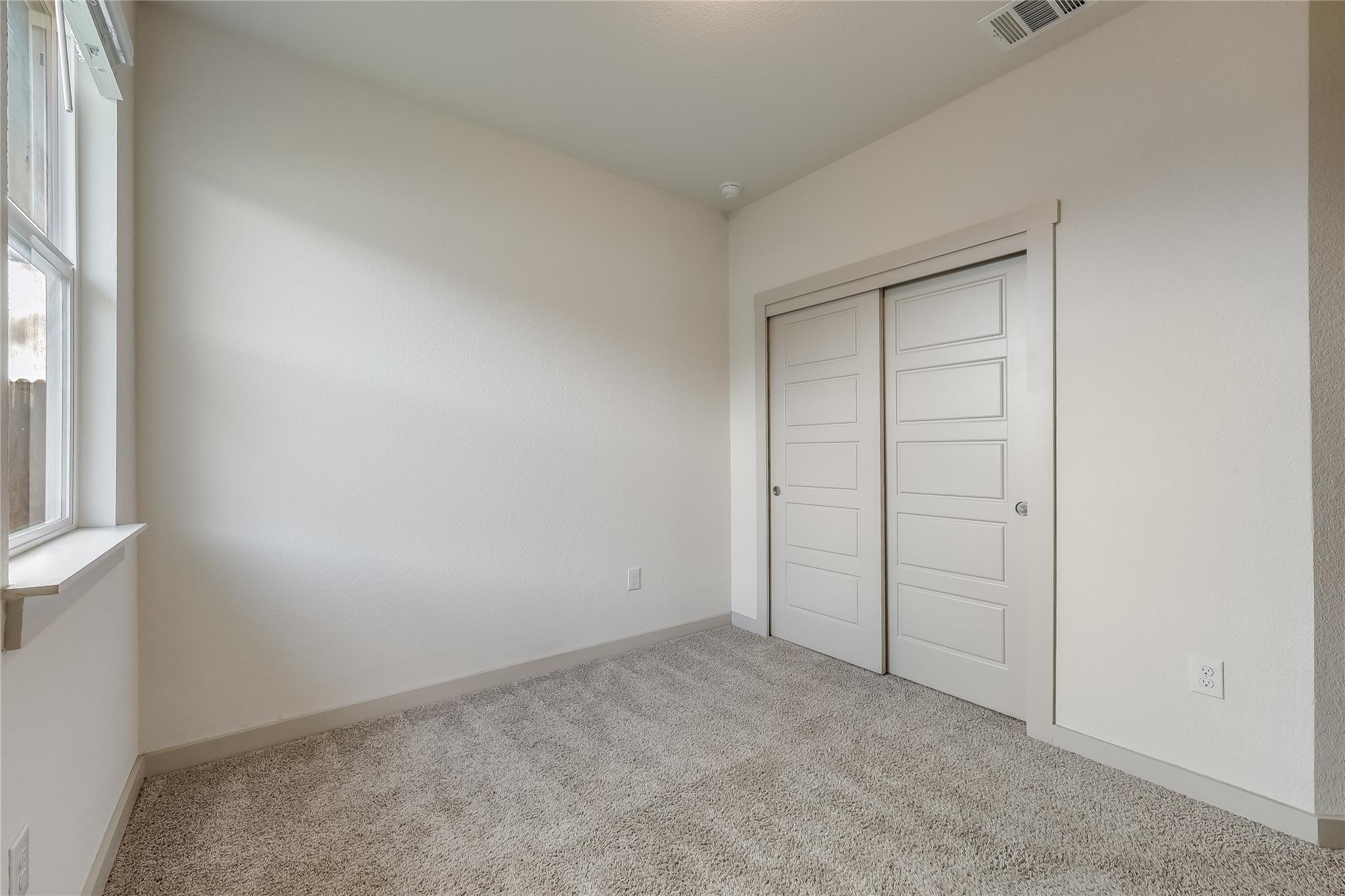 153 Filifera CT