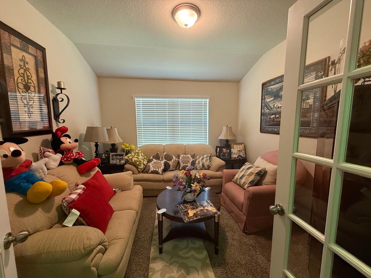 617 Ibis Falls LOOP
