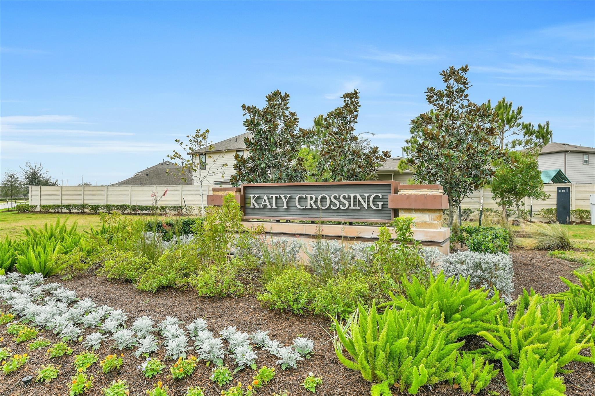 25719 Bottlebrush Sedge Street