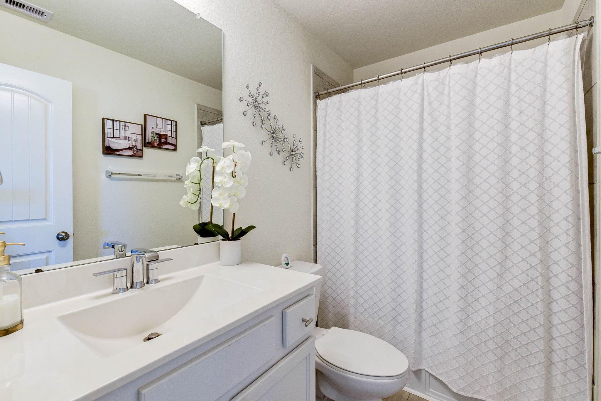 25719 Bottlebrush Sedge Street