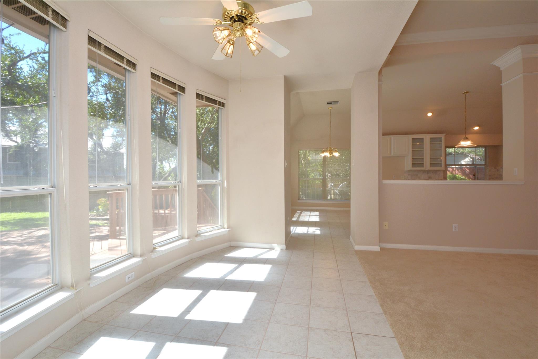 11509 Leon Grande CV