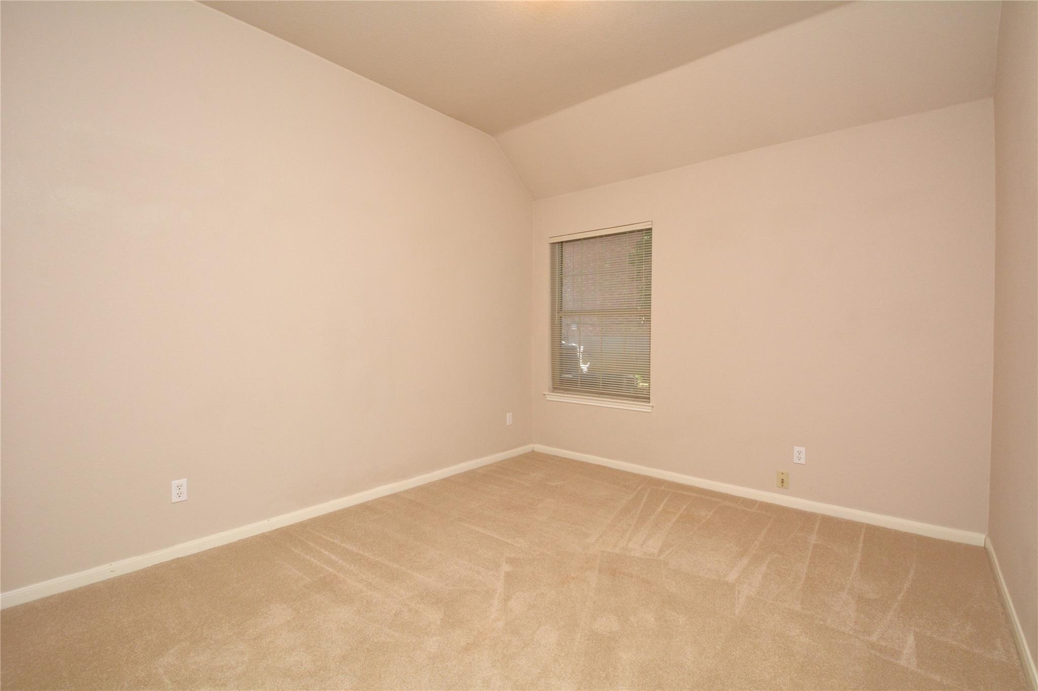 11509 Leon Grande CV