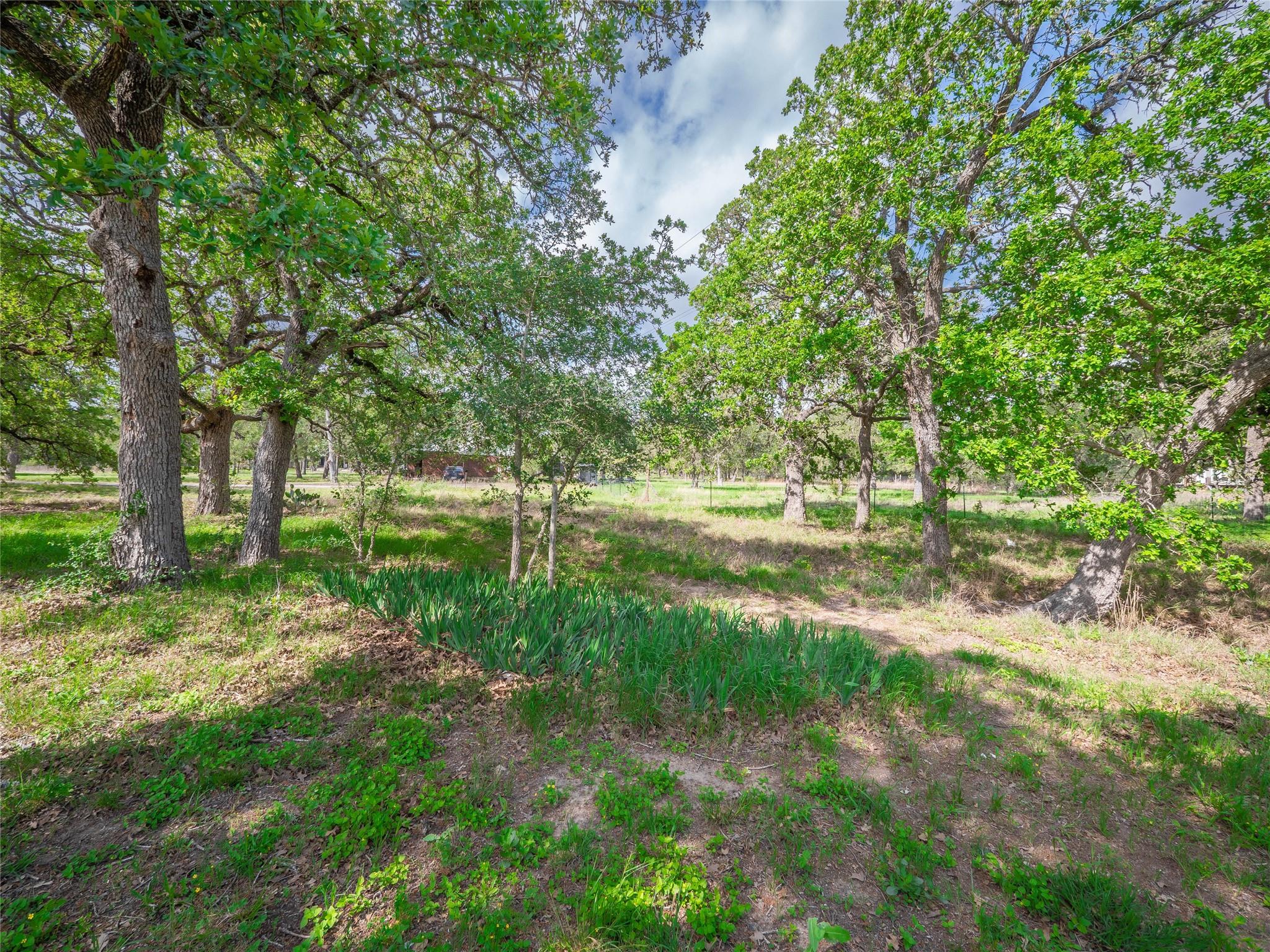 20417 Ed Acklin RD