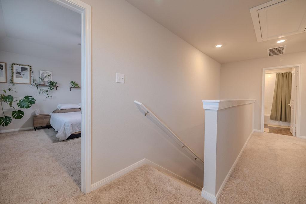 393 Apache Plum DR