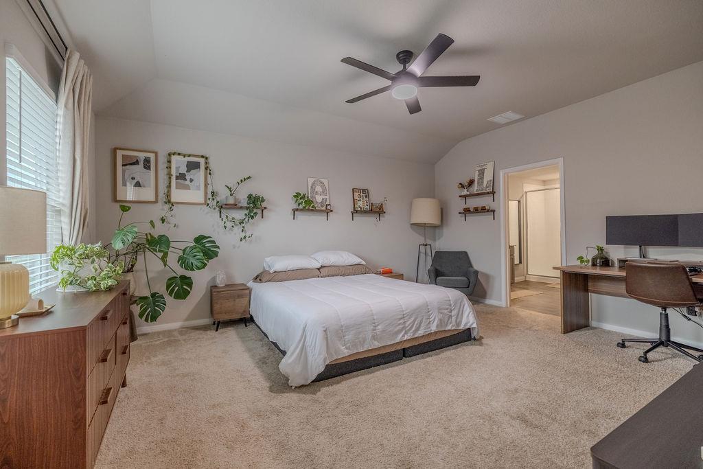 393 Apache Plum DR
