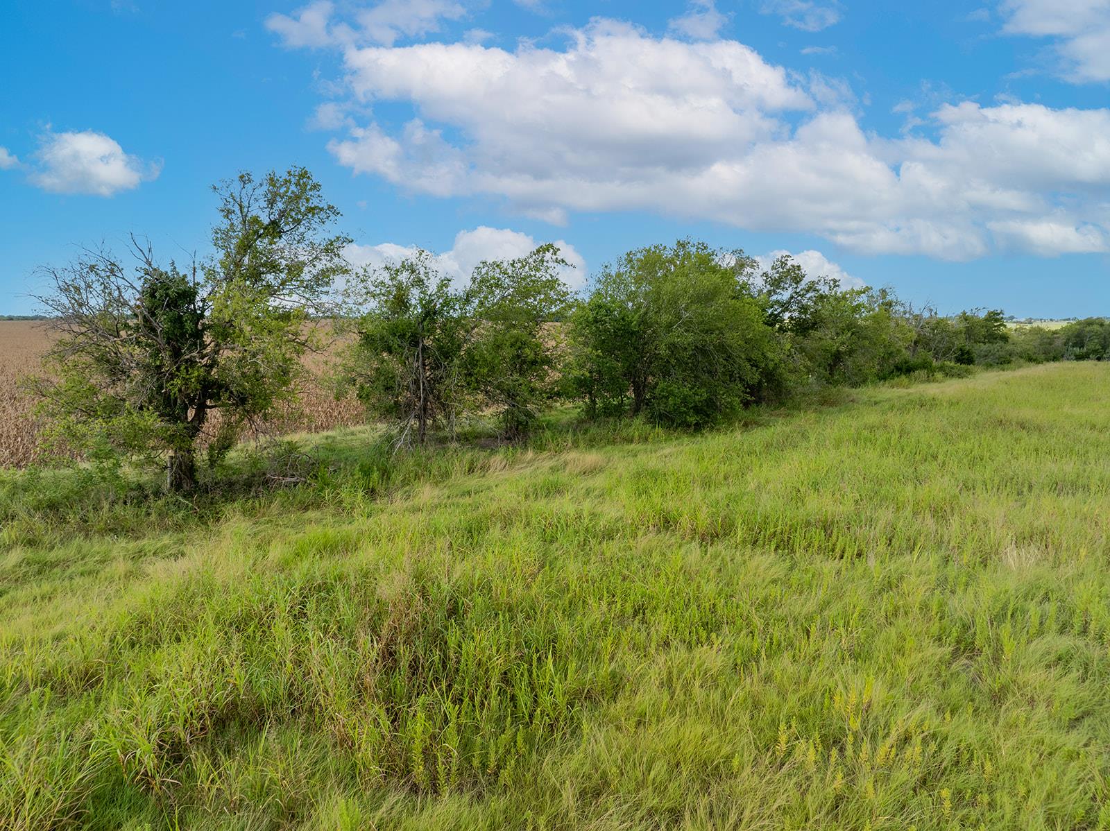 5275 County Road 424 RD