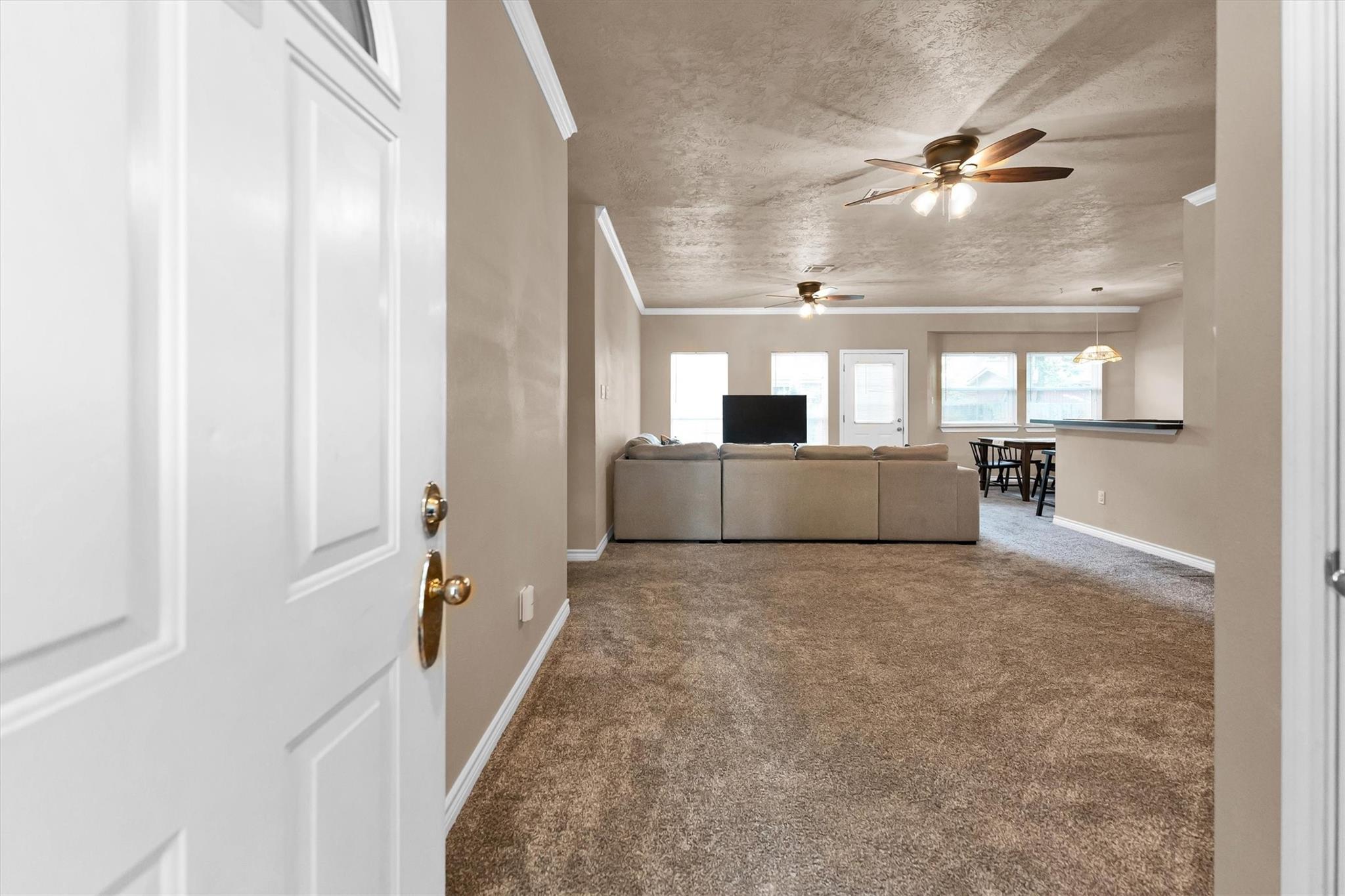 3003 Brook Drive