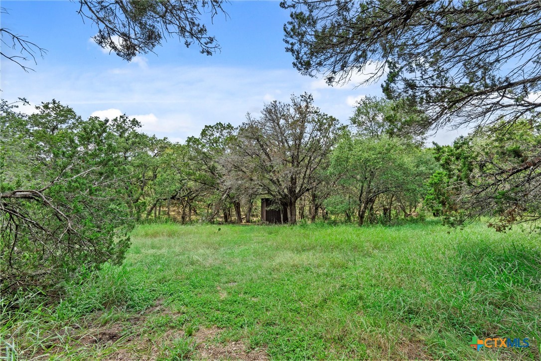 301 Alpine Trail