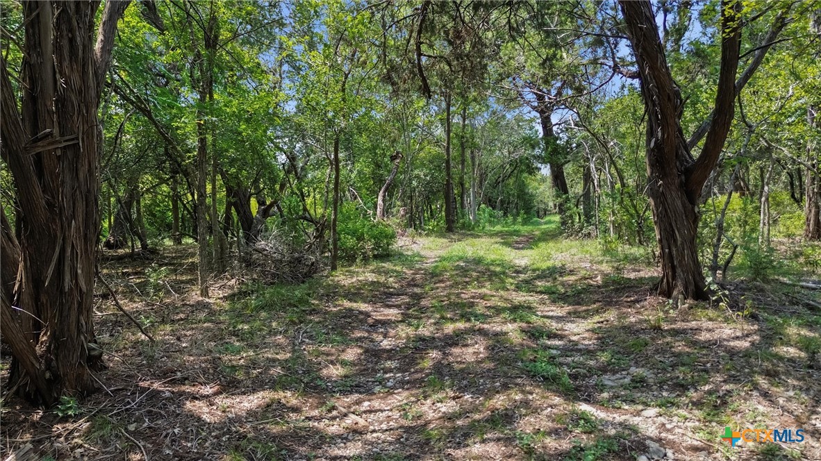 301 Alpine Trail
