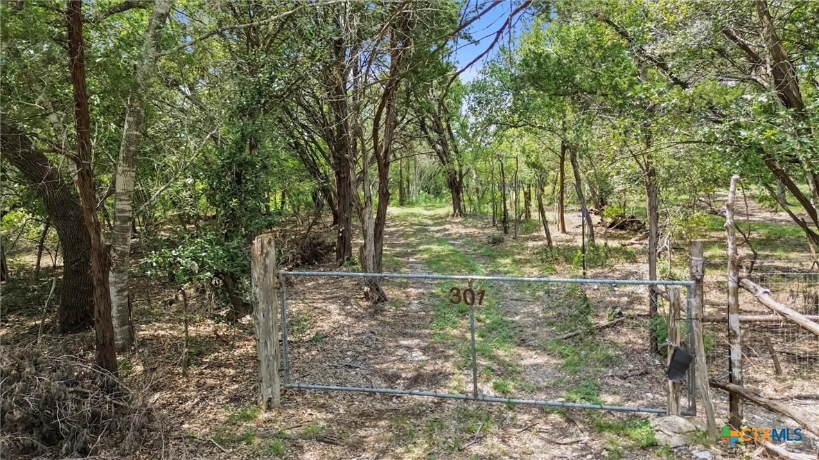 301 Alpine Trail