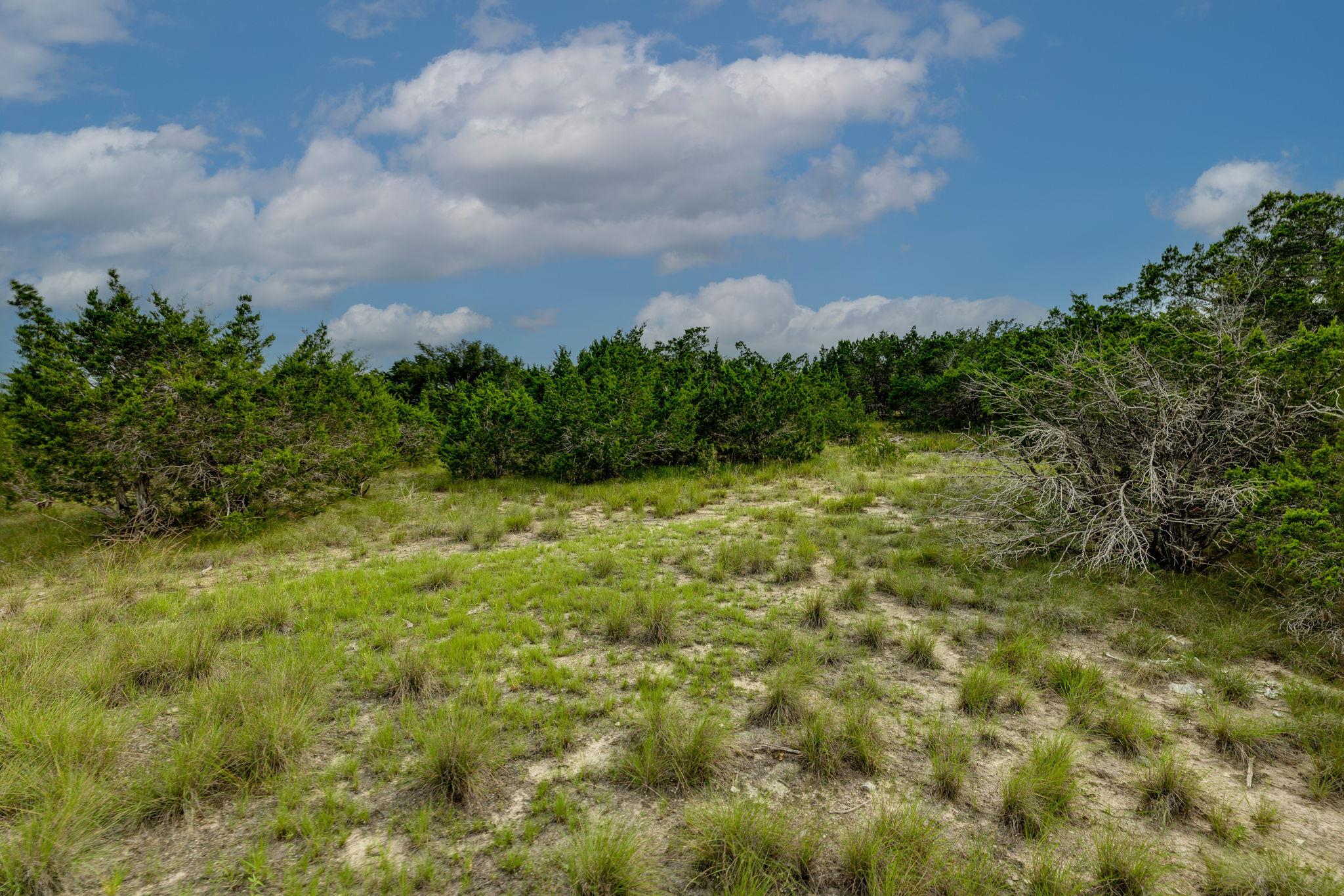 0 Westward Look