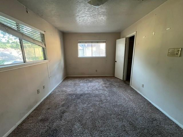 17323 Tall Cypress Drive