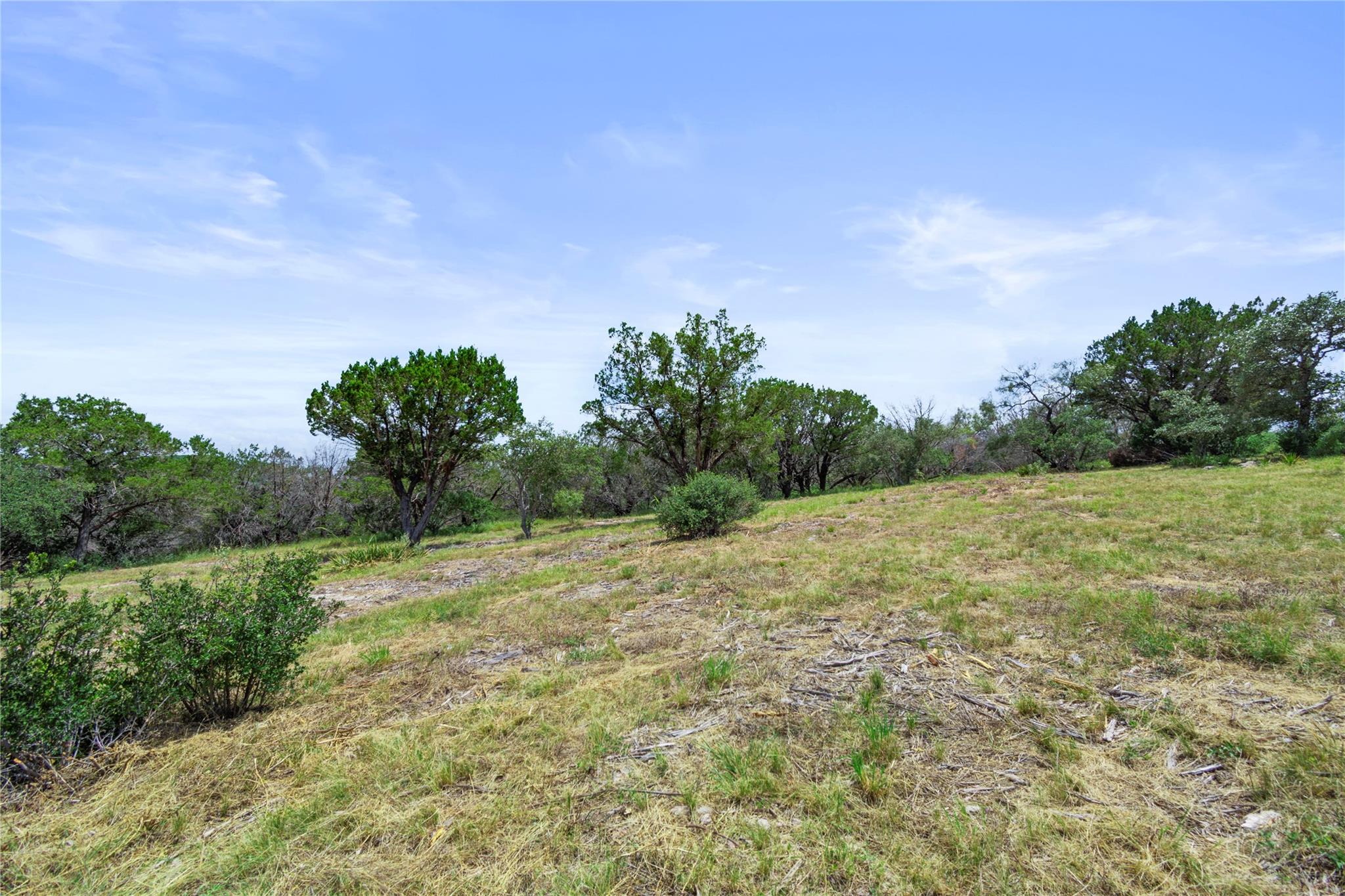 WOLF CREEK RANCH LOT 1B1A FM 2341 RNCH N