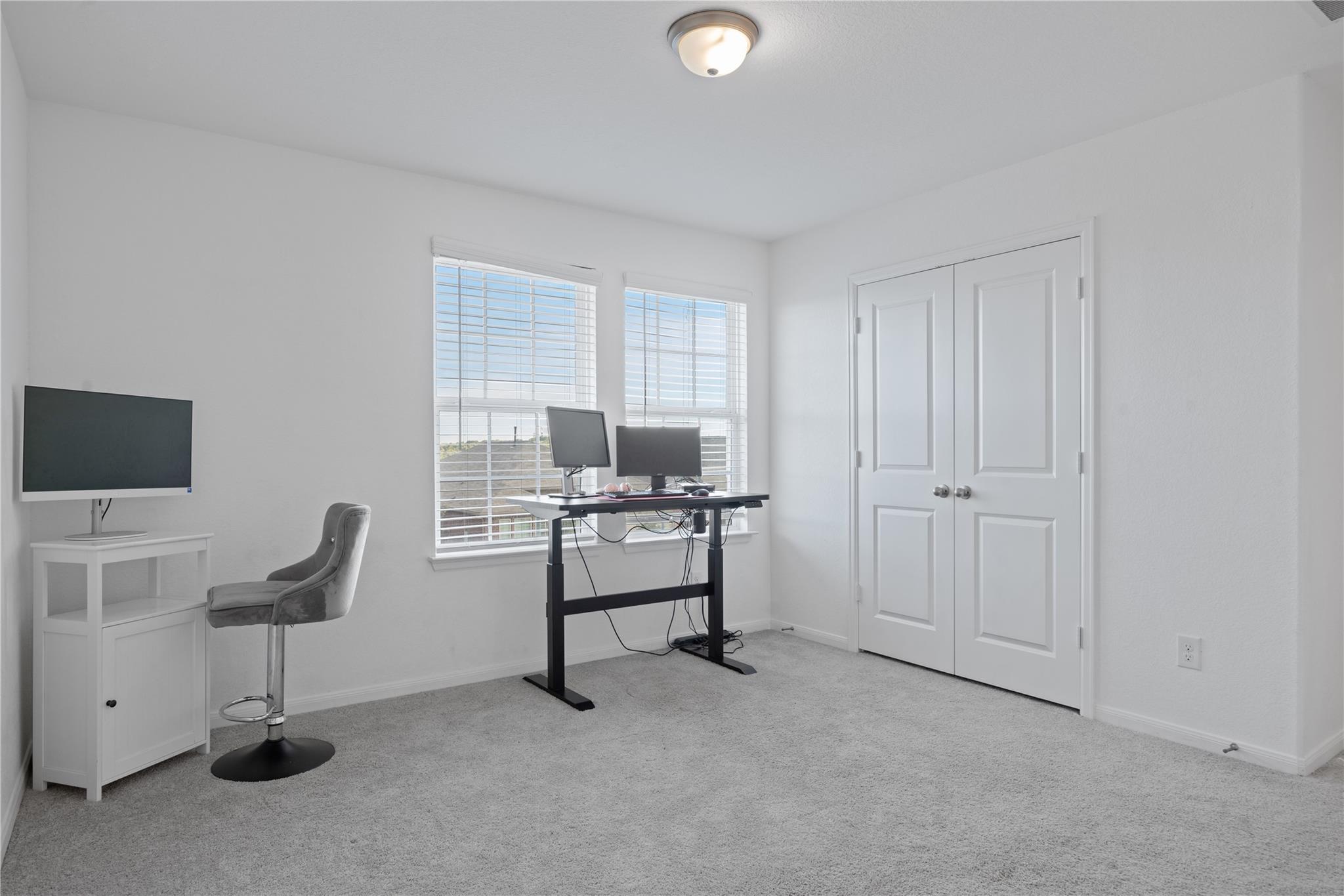 241 Oleander LOOP