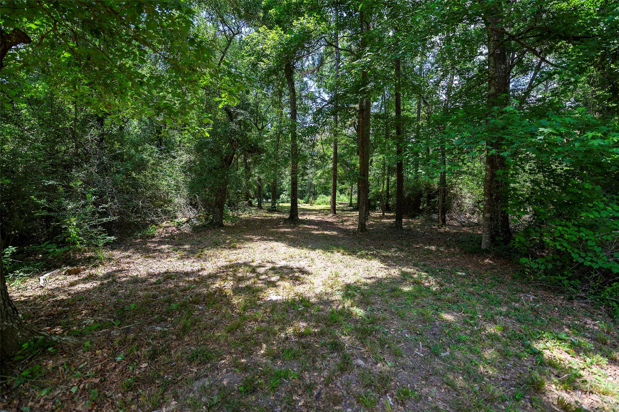 157 Road 3800 S