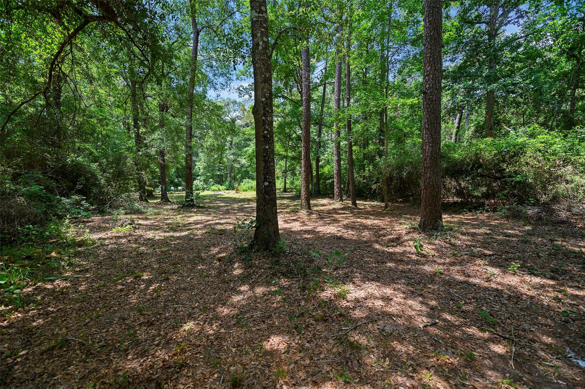 157 Road 3800 S