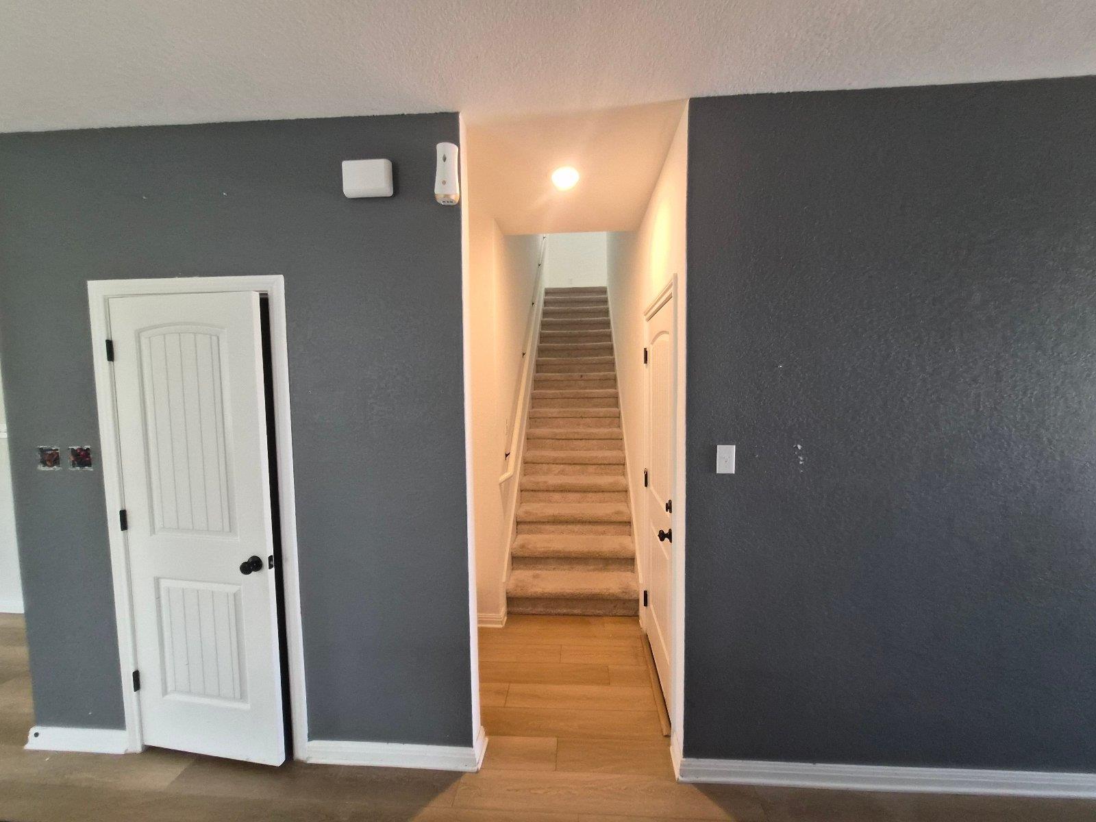 116 Lyrebird LN