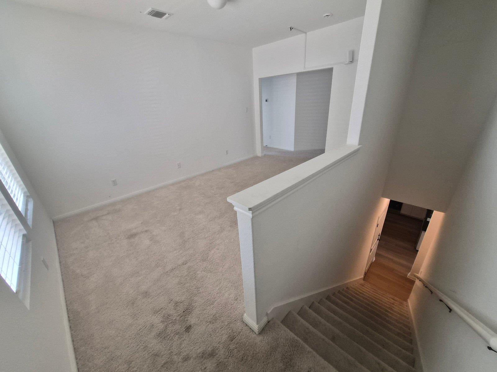 116 Lyrebird LN