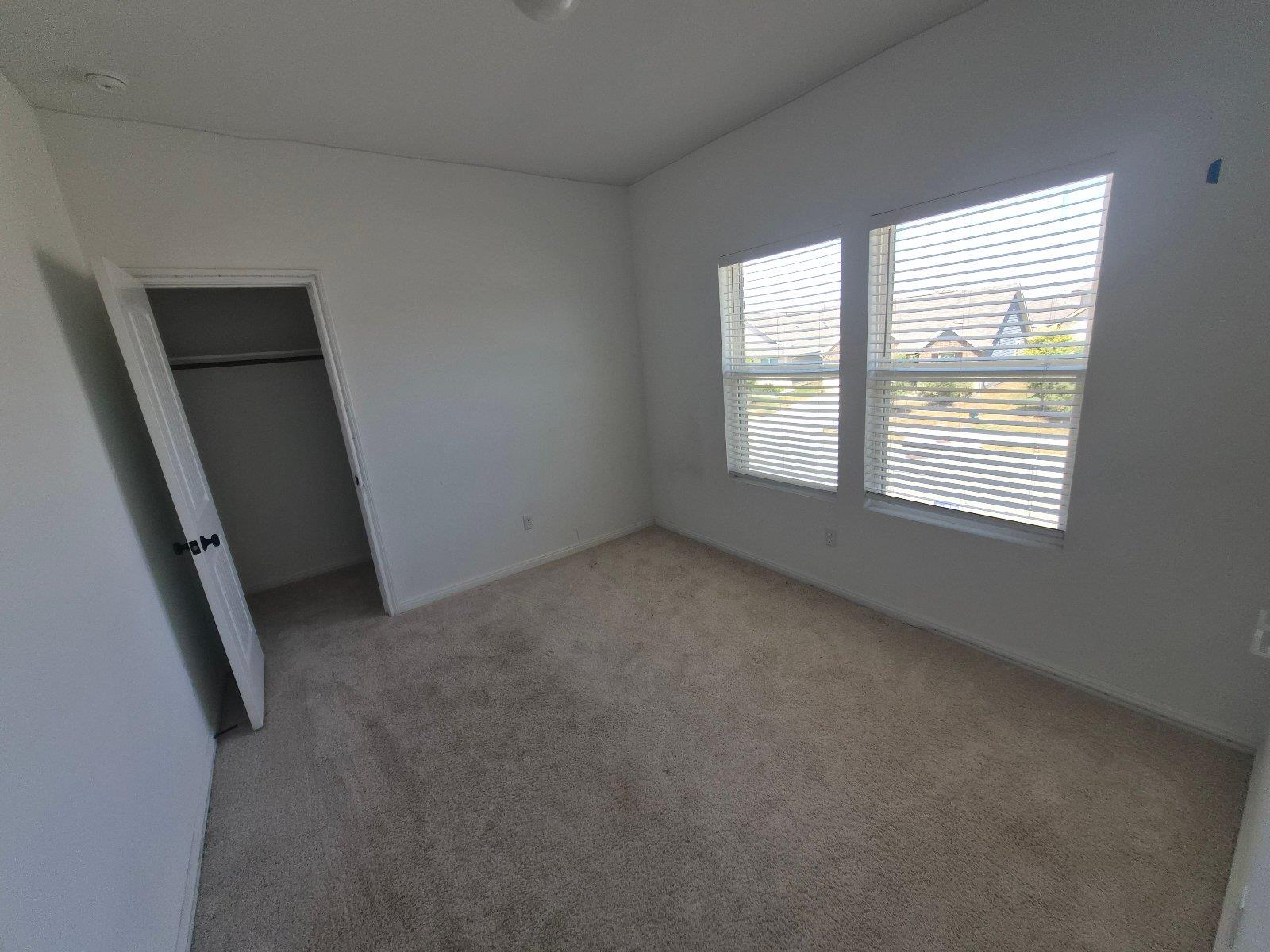 116 Lyrebird LN