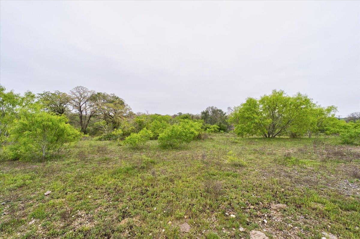 350 Mineral Springs RD