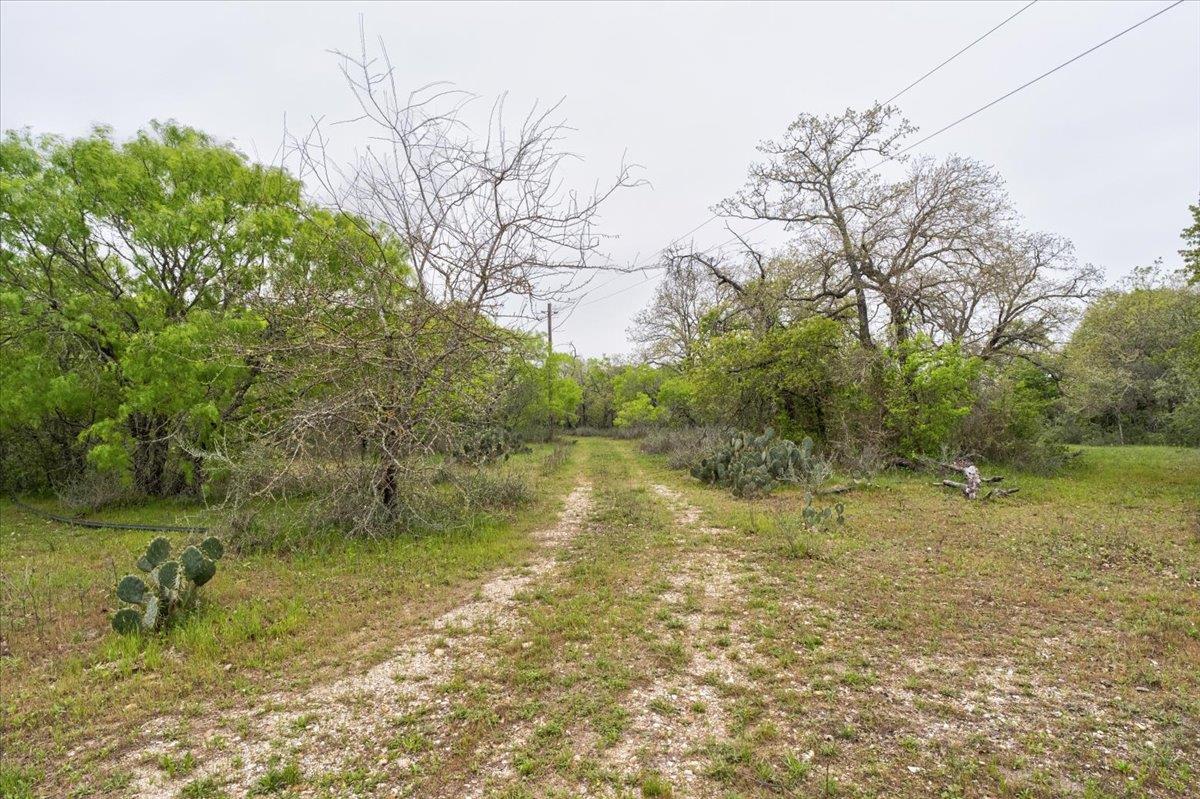 350 Mineral Springs RD