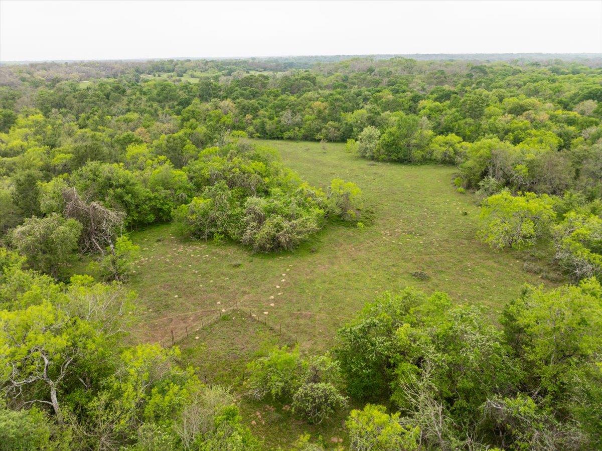 350 Mineral Springs RD