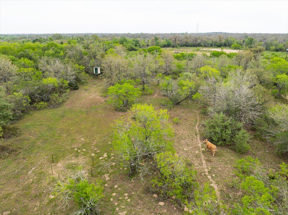 350 Mineral Springs RD