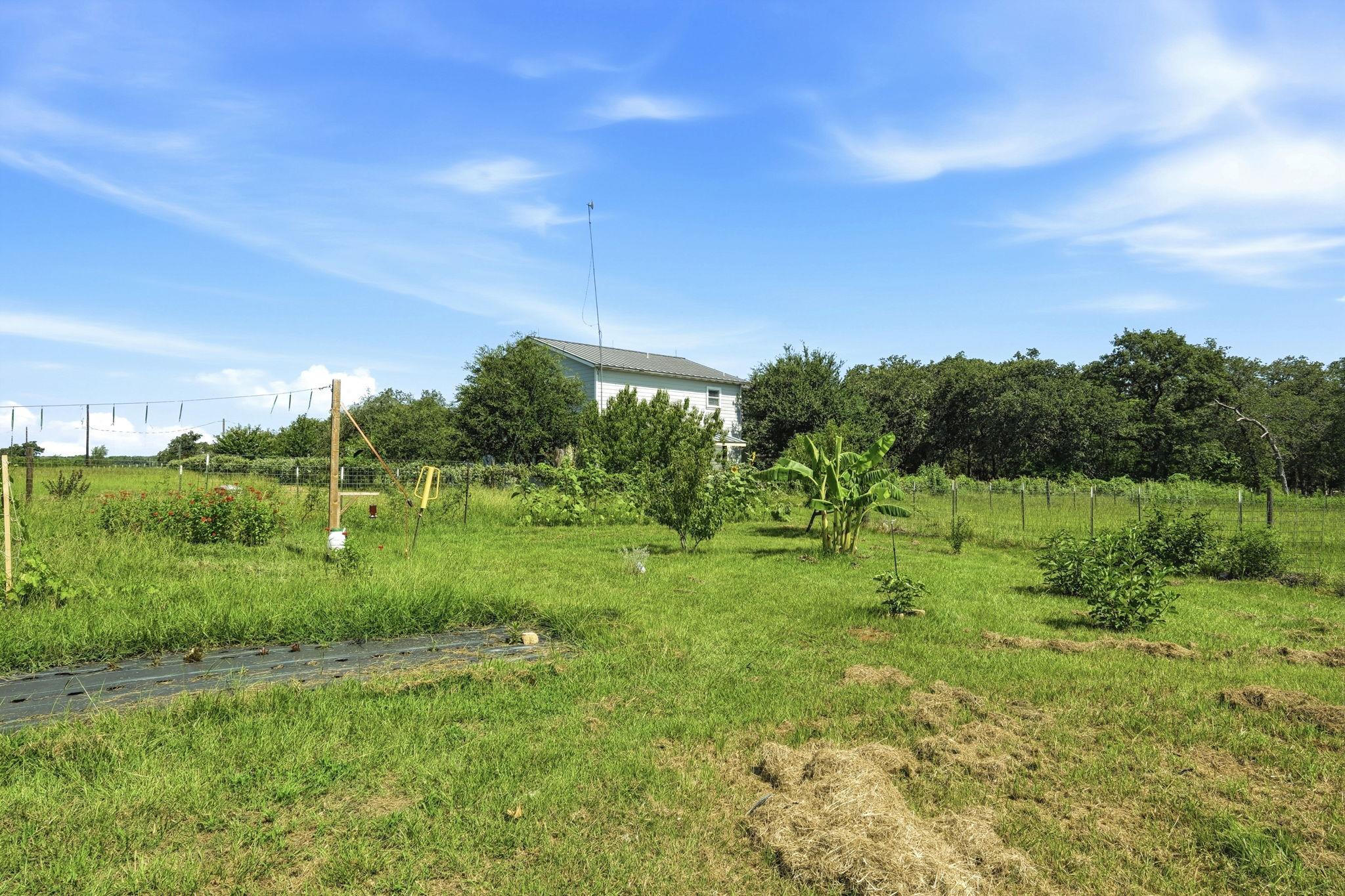 1951 County Road 475