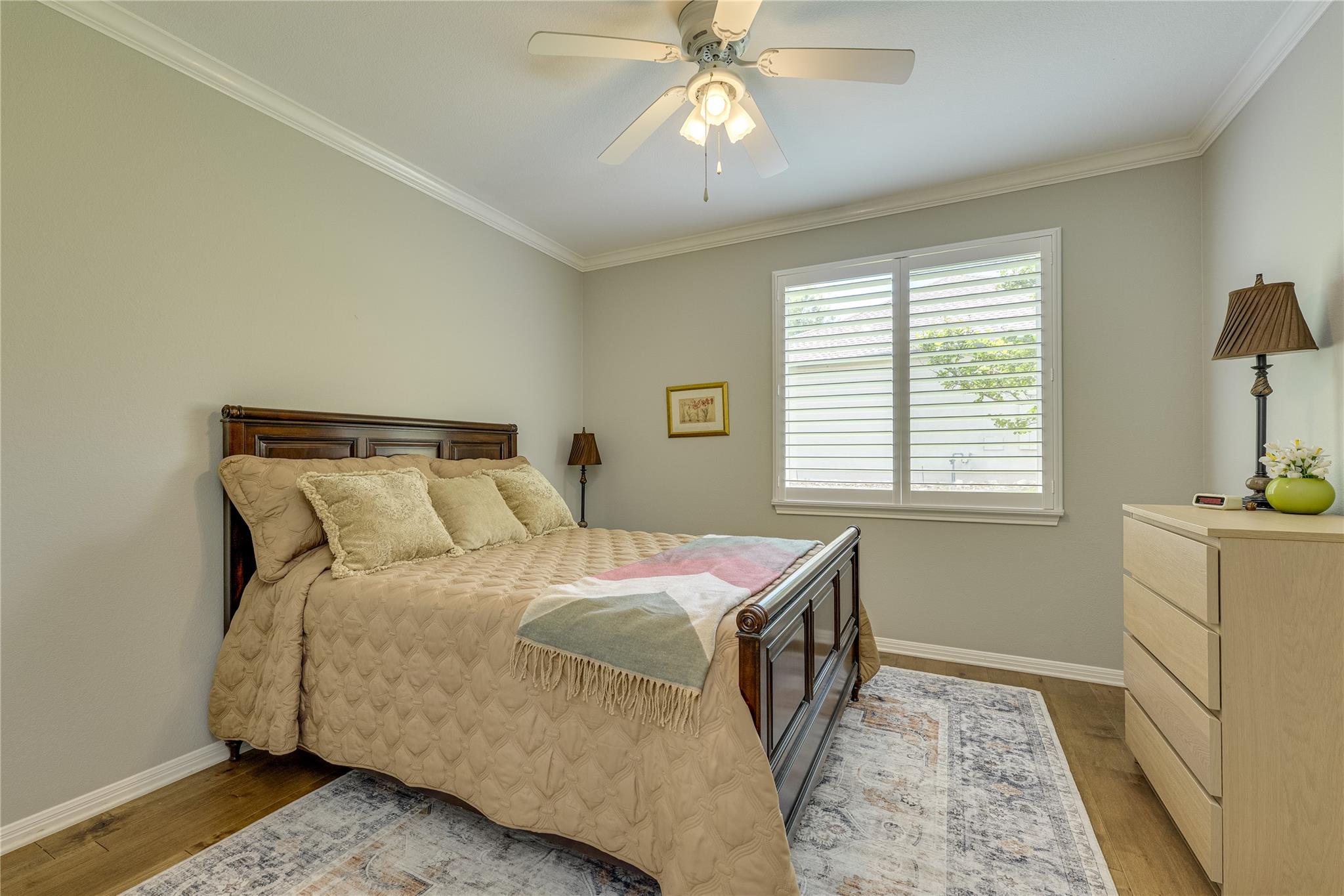 117 Blazing Star Dr DR