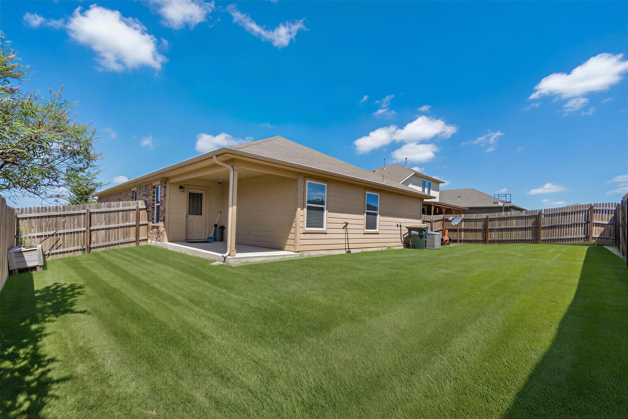 176 Dusky Thrush DR