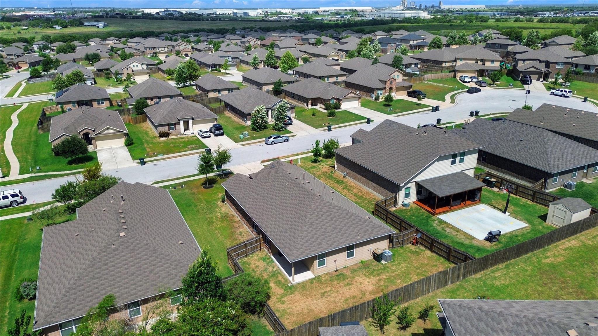 176 Dusky Thrush DR