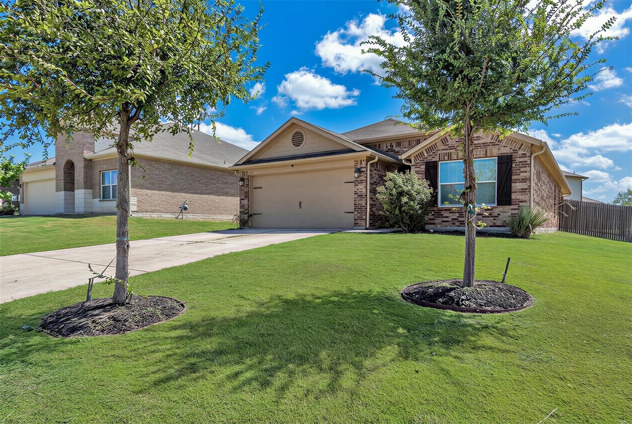 176 Dusky Thrush DR