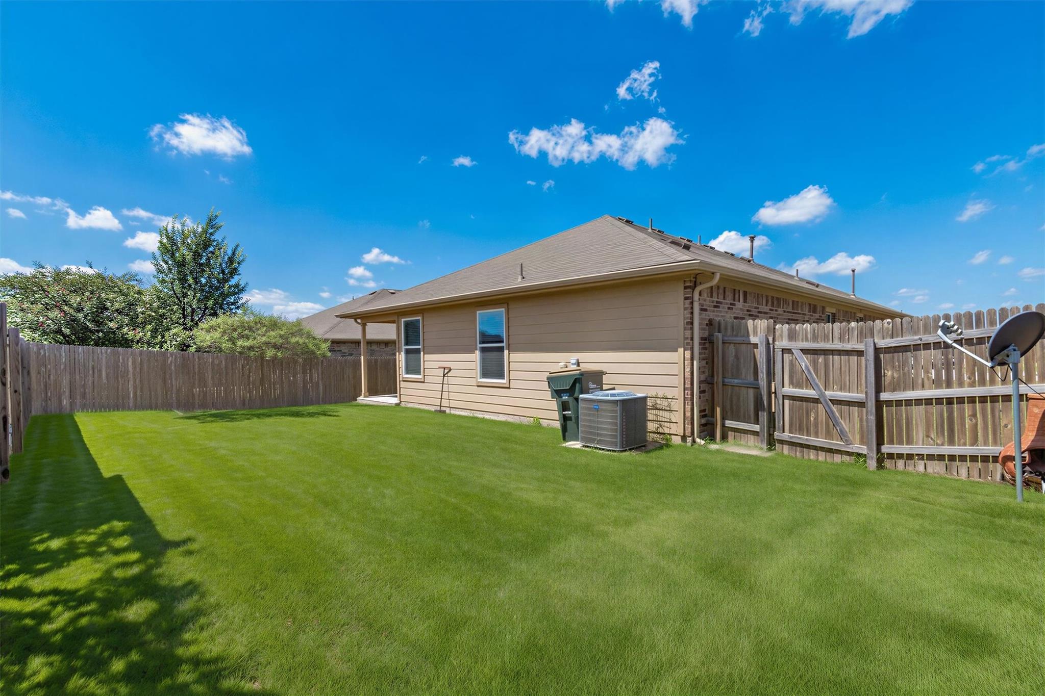 176 Dusky Thrush DR